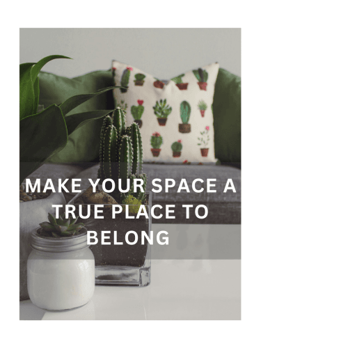 Close-up of small indoor plants, including cacti and succulents, in pots with a couch and cactus-themed pillow blurred in the background.